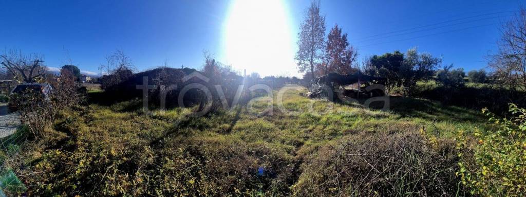 immagine annuncio 5 di 12