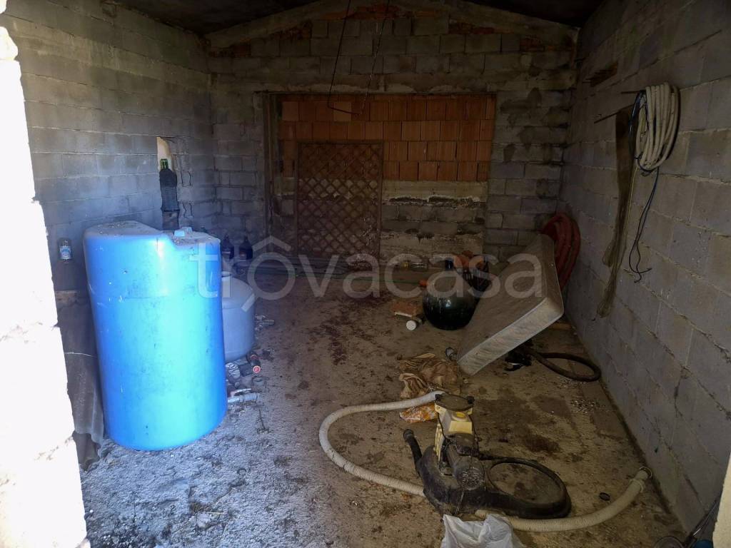 immagine annuncio 9 di 12