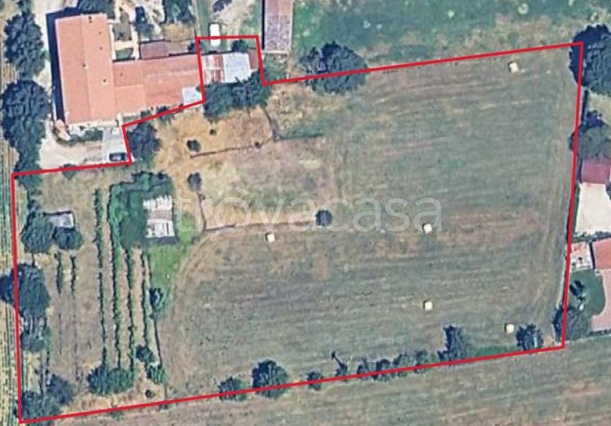 immagine annuncio 11 di 12