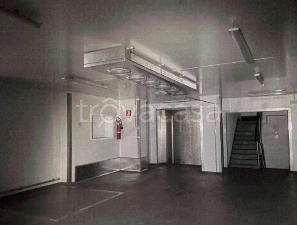 immagine annuncio 7 di 13