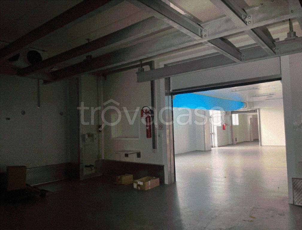 immagine annuncio 8 di 13