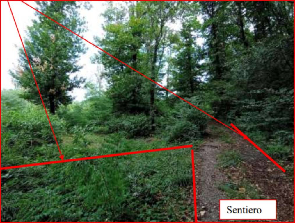 immagine annuncio 2 di 11