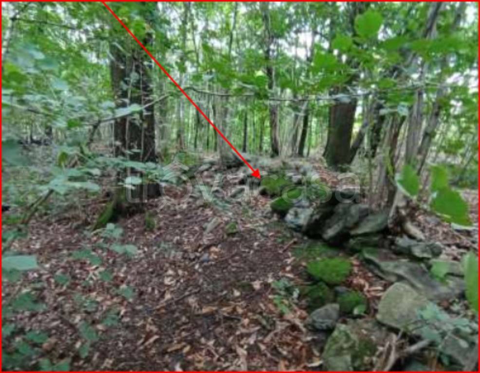 immagine annuncio 6 di 11