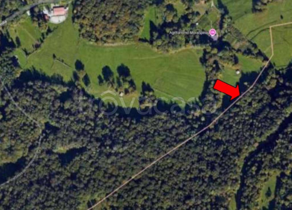 immagine annuncio 2 di 9