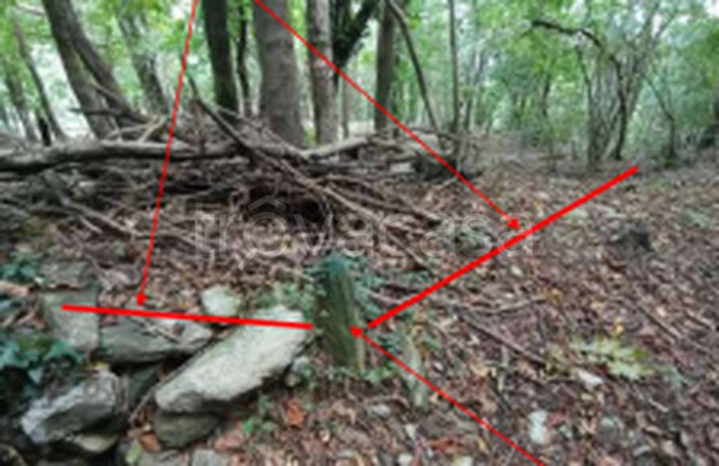 immagine annuncio 8 di 11