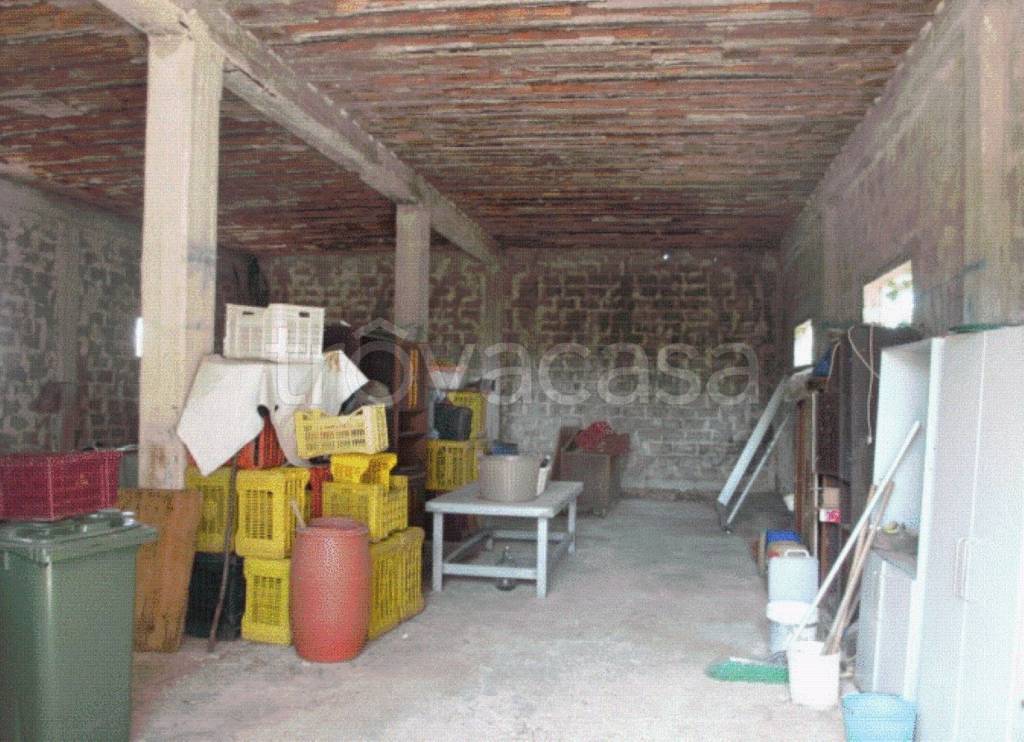 immagine annuncio 3 di 11