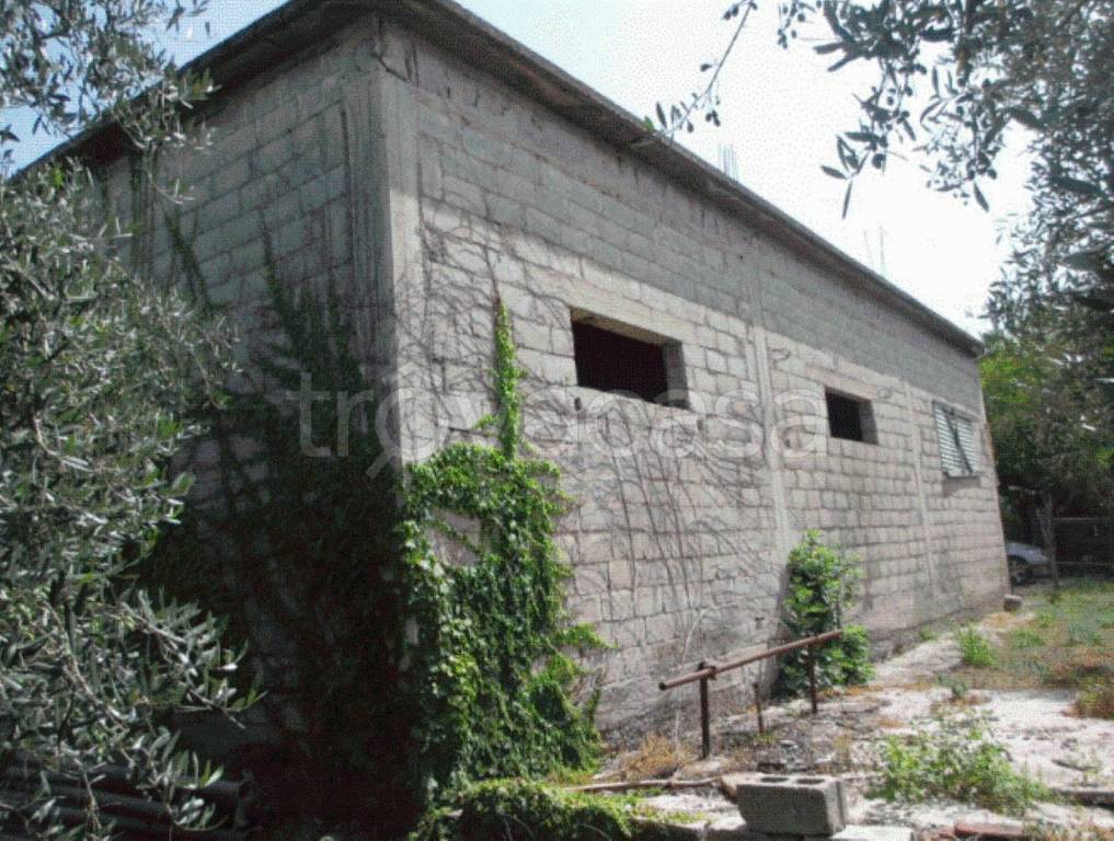 immagine annuncio 9 di 11