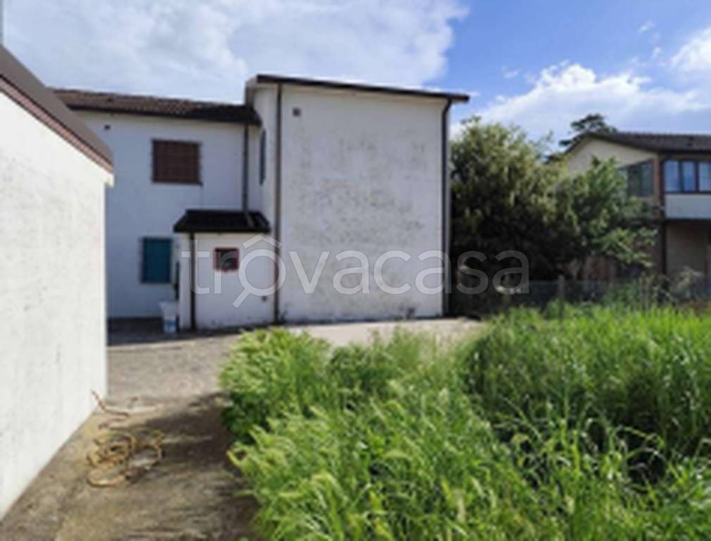 immagine annuncio 7 di 11