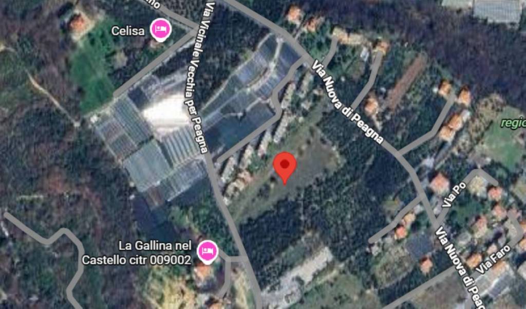 immagine annuncio 5 di 11