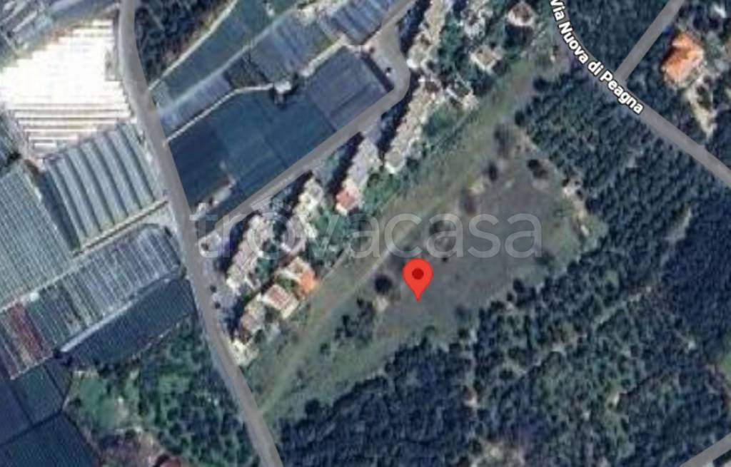 immagine annuncio 6 di 11