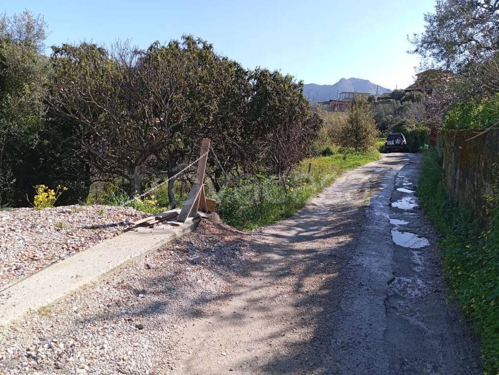 immagine annuncio 7 di 12