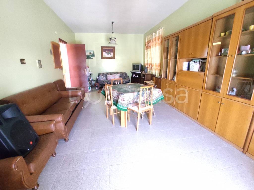 immagine annuncio 4 di 14