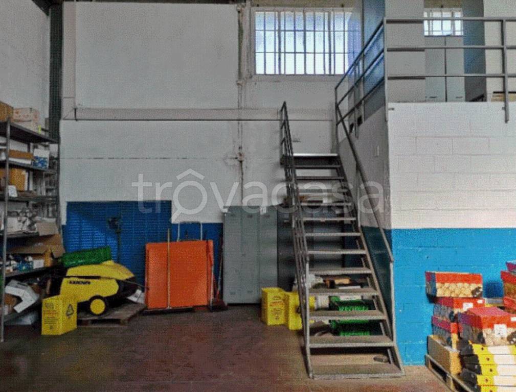 immagine annuncio 3 di 13