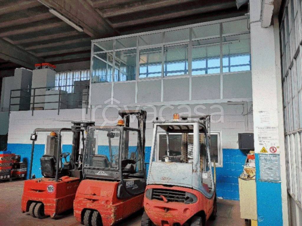 immagine annuncio 7 di 13