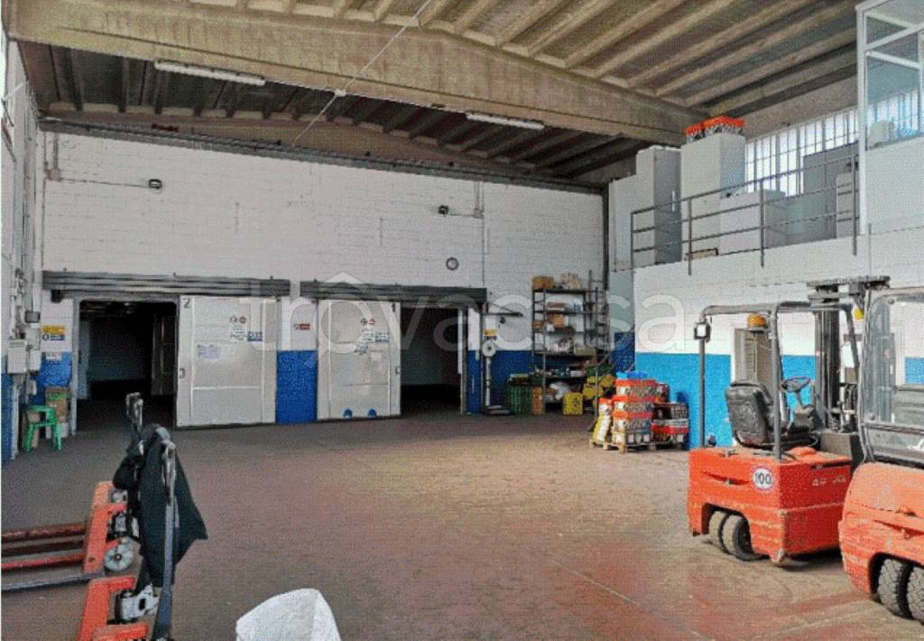 immagine annuncio 8 di 13