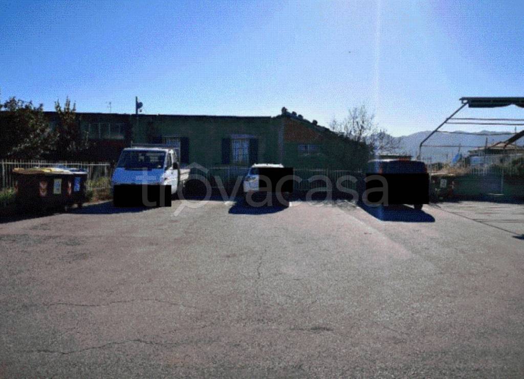 immagine annuncio 9 di 13