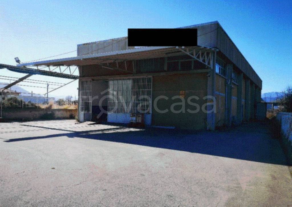 immagine annuncio 10 di 13