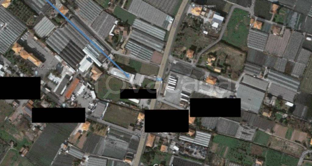 immagine annuncio 12 di 13