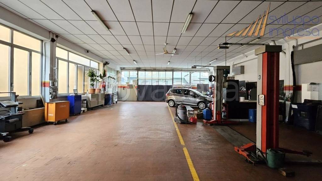 immagine annuncio 6 di 15