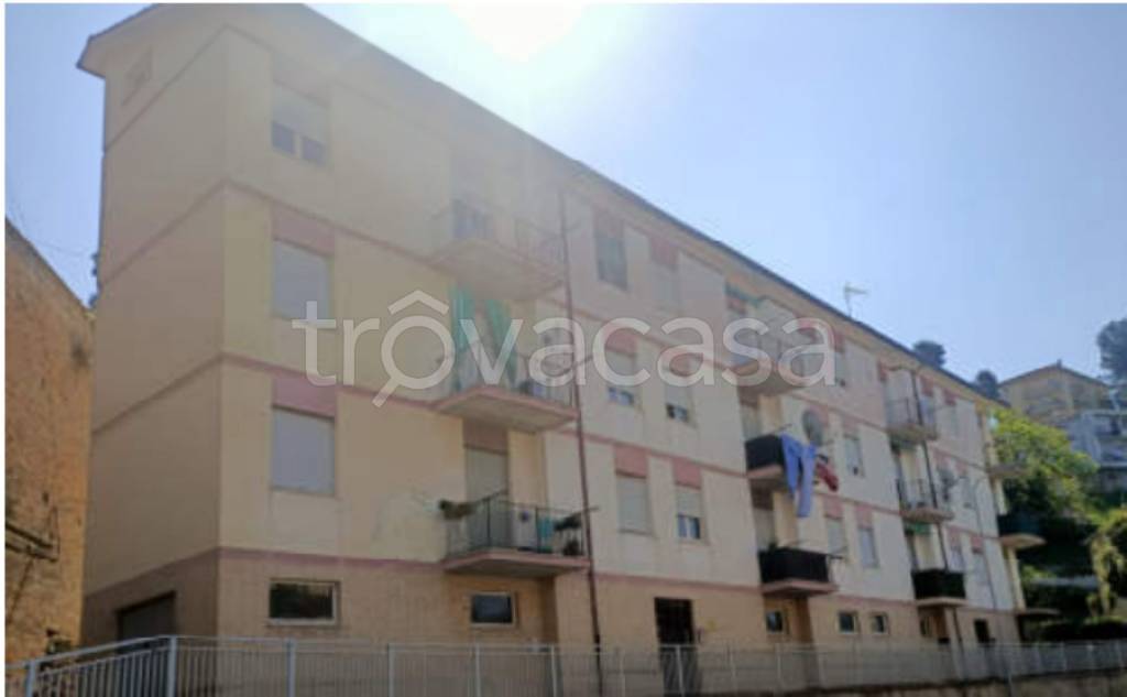 immagine annuncio 1 di 12