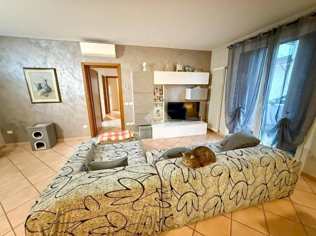 immagine annuncio 3 di 11