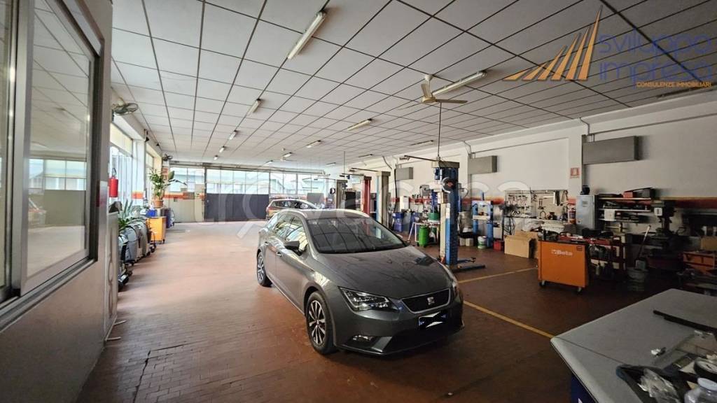 immagine annuncio 5 di 15