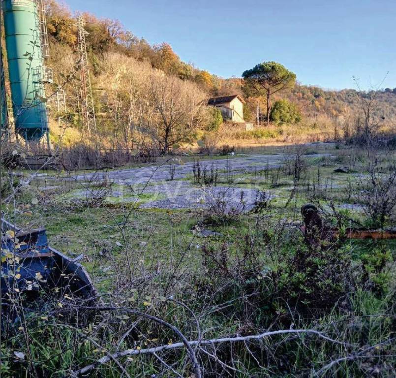 immagine annuncio 3 di 8