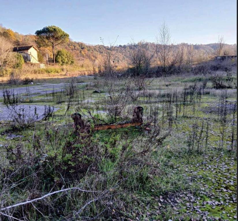 immagine annuncio 4 di 8