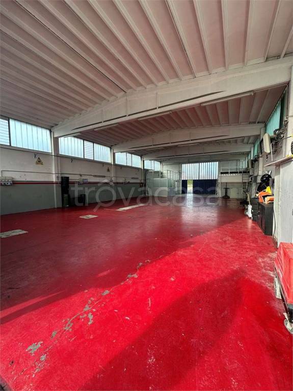 immagine annuncio 4 di 10