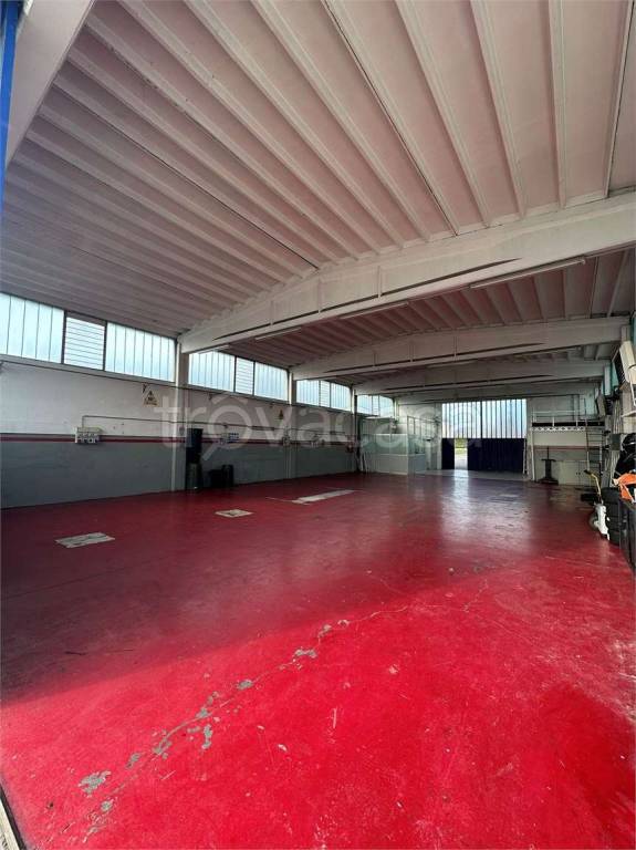 immagine annuncio 5 di 10