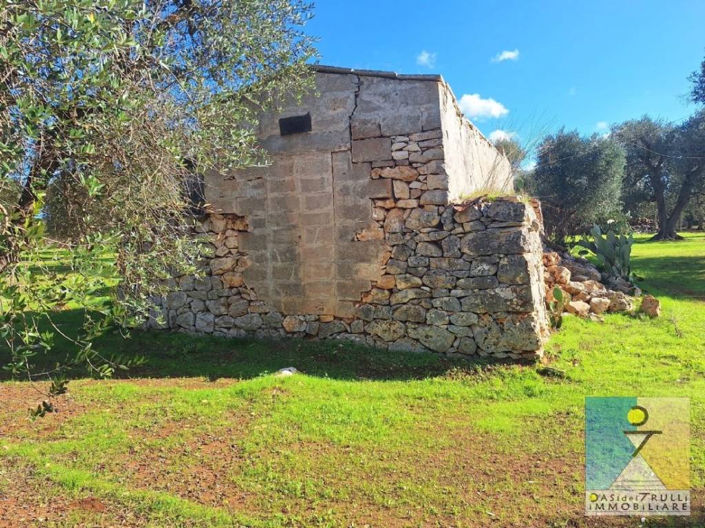 immagine annuncio 7 di 14