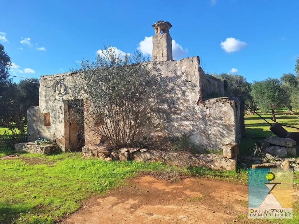 immagine annuncio 9 di 14