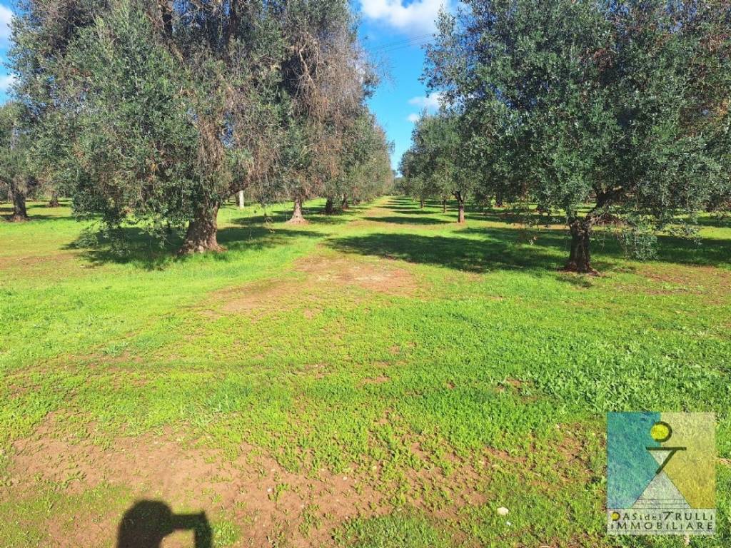 immagine annuncio 10 di 14