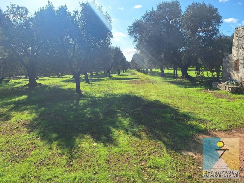 immagine annuncio 12 di 14