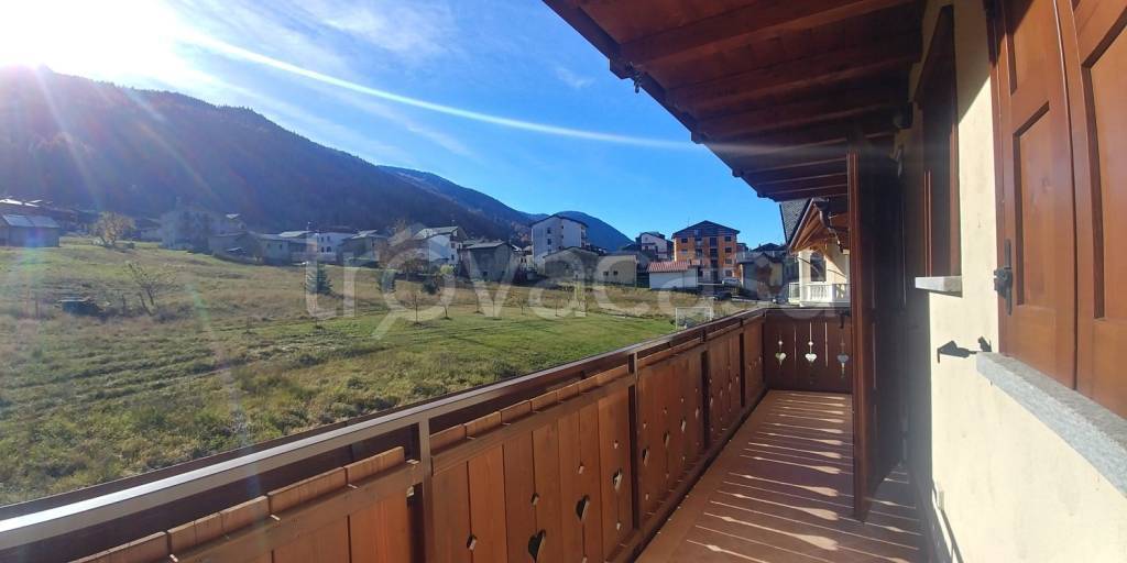 immagine annuncio 12 di 13