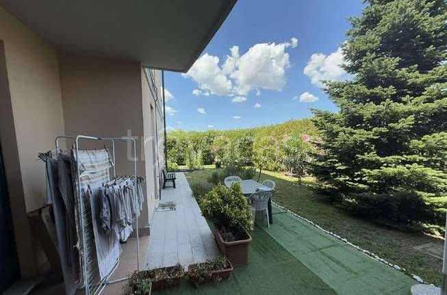 immagine annuncio 6 di 9