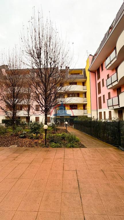 immagine annuncio 8 di 14