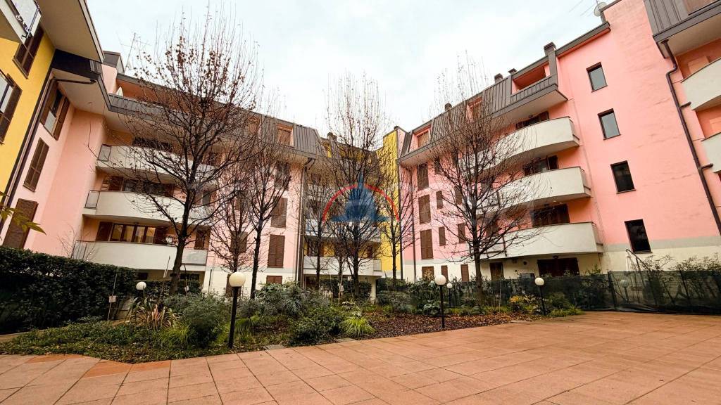 immagine annuncio 12 di 14