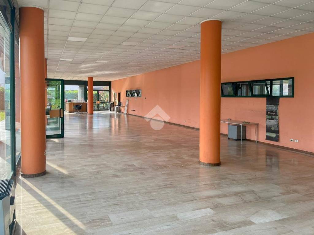 immagine annuncio 3 di 6