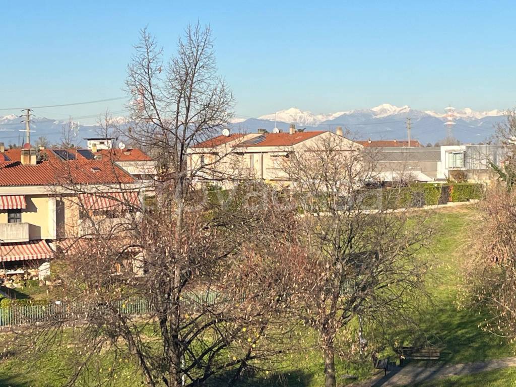 immagine annuncio 11 di 12