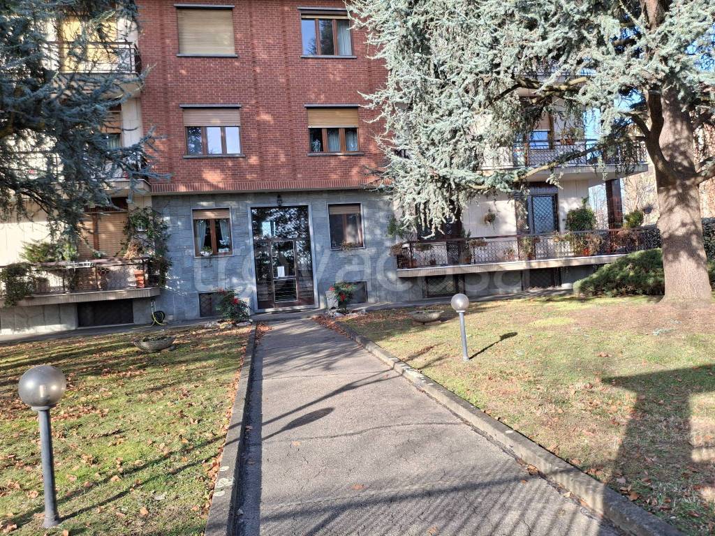 immagine annuncio 6 di 15