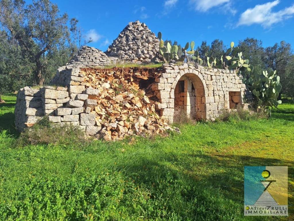 immagine annuncio 3 di 12