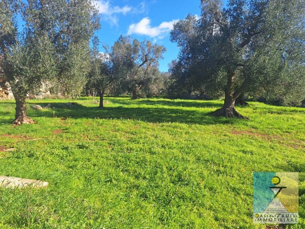 immagine annuncio 4 di 12