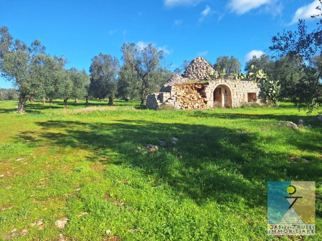 immagine annuncio 5 di 12