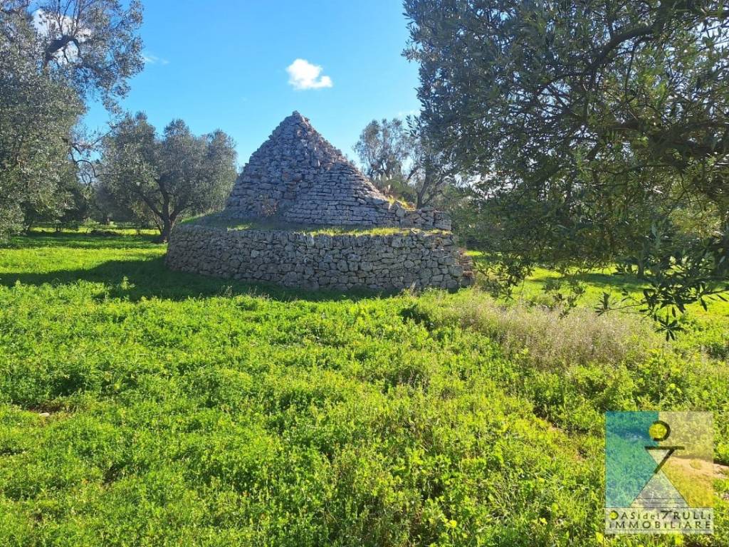 immagine annuncio 7 di 12