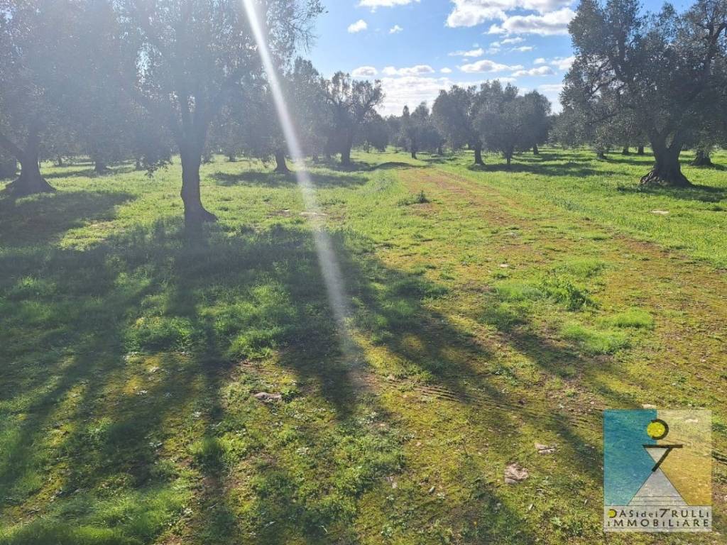 immagine annuncio 8 di 12