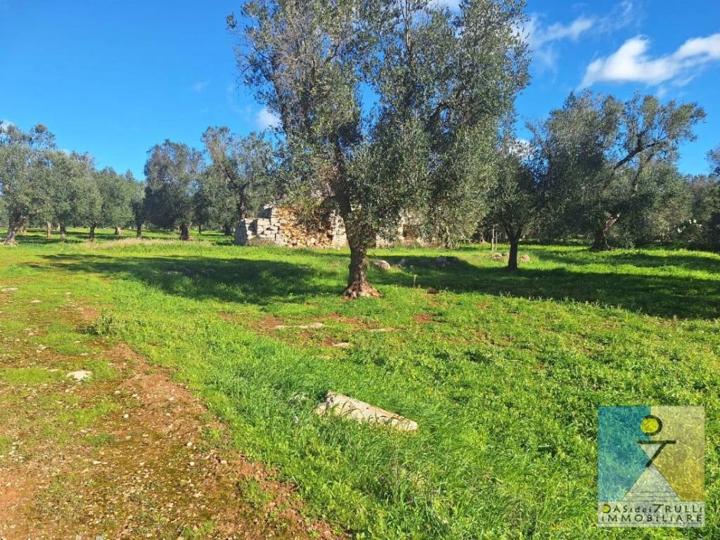 immagine annuncio 10 di 12