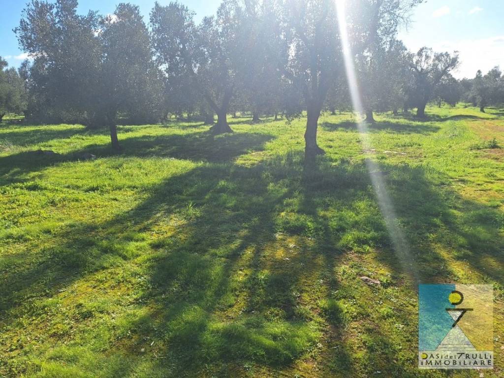 immagine annuncio 11 di 12