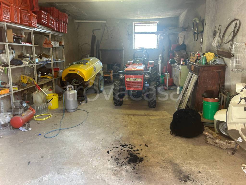 immagine annuncio 13 di 15