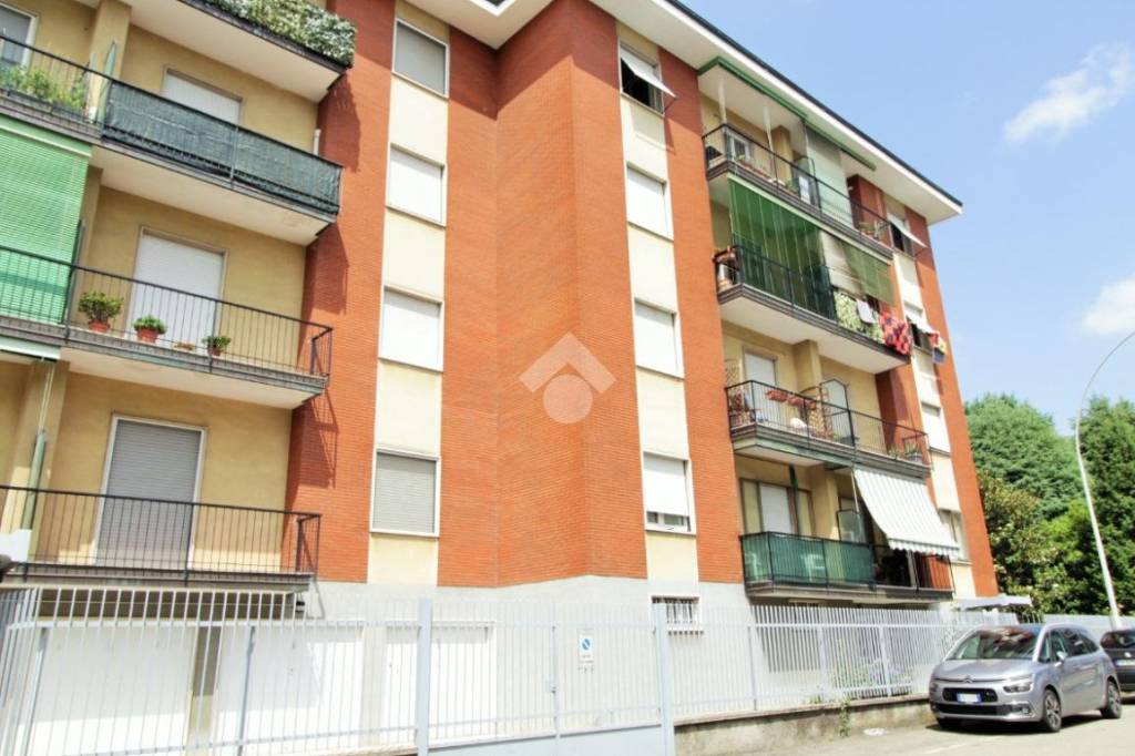 immagine annuncio 1 di 15